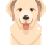 dog-300x300